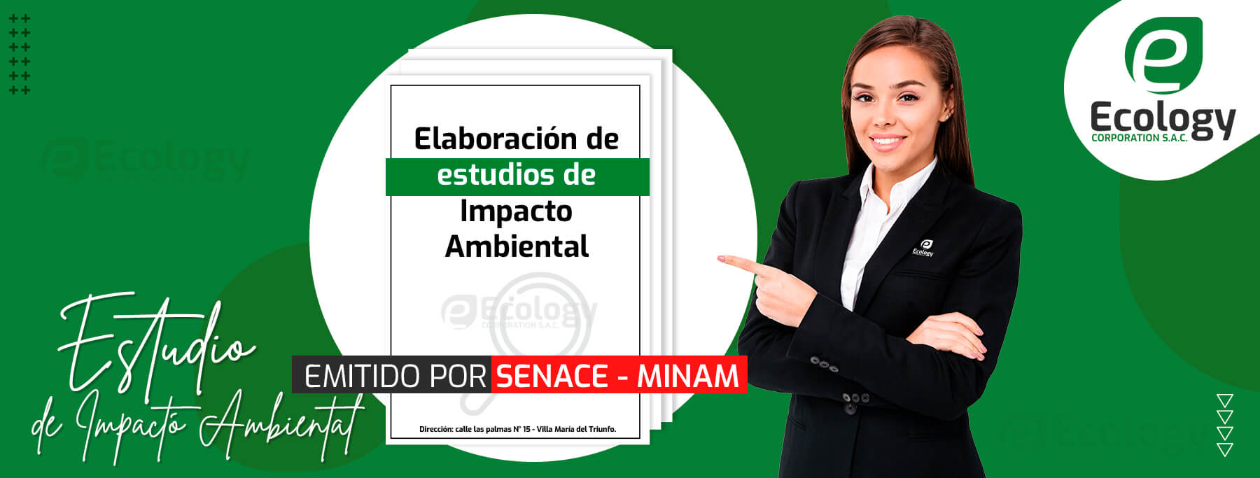 📑 Elaboración De Estudios De Impacto Ambiental - | Consultora Ecology ...